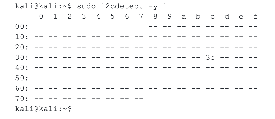 I2C Display Detection Result on Raspberry Pi Terminal